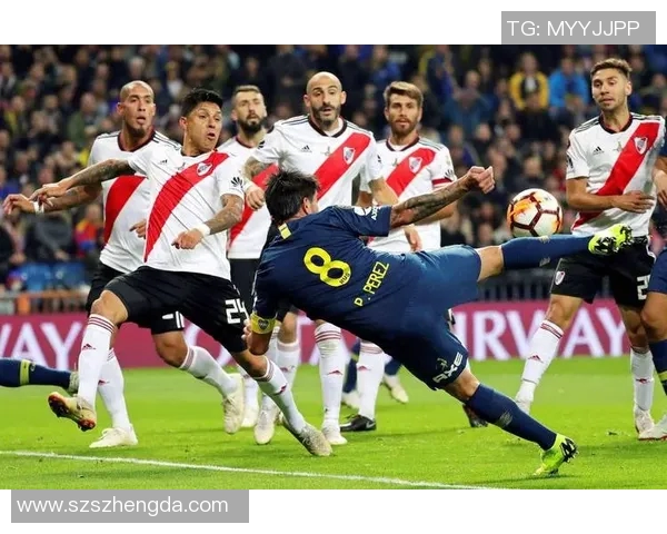 老虎竞技与萨斯菲尔德对决结果揭晓精彩瞬间回顾与分析 老虎竞技与萨斯菲尔德对决结果揭晓精彩瞬间回顾与分析