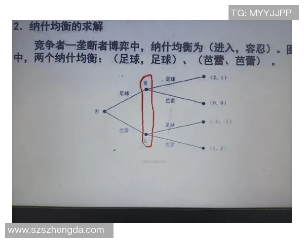 安坦迪与波城的激烈对决揭示了足球战术的博弈与团队协作的重要性