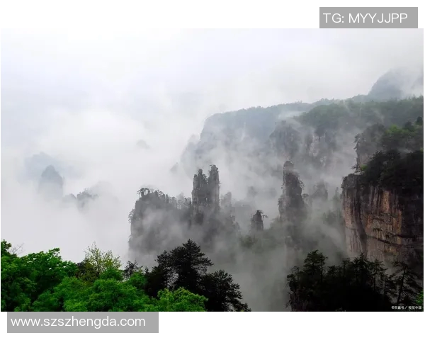 探索埃斯特旺的文化魅力与自然风光，感受独特的旅行体验与人文底蕴