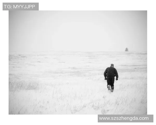 萨林杰的文学世界：探索孤独与叛逆的心灵旅程