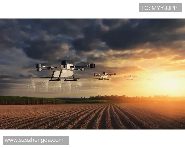 加克波在国际赛场的崛起与未来发展潜力分析