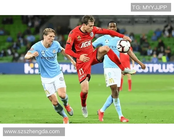 墨尔本城与惠灵顿对决前瞻及比分预测分析