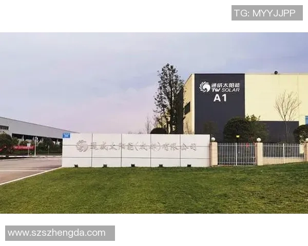 成都排球队中路突破的优势与不足分析及未来发展建议MBA