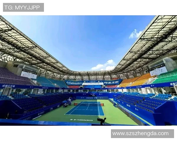 成都网球队技术争议引发热议球迷与专家各执己见探讨未来发展MBA