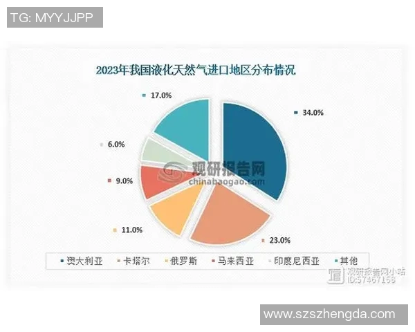 数据分析视角下液化天然气市场意识的变化与趋势探讨