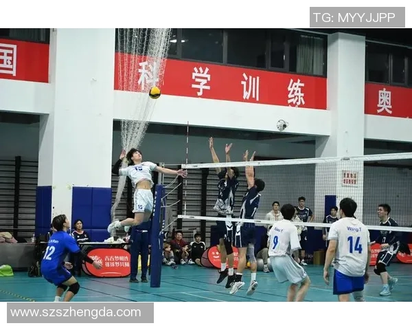 杭州排球队实力强劲最新排球力量排行榜前十名揭晓MBA