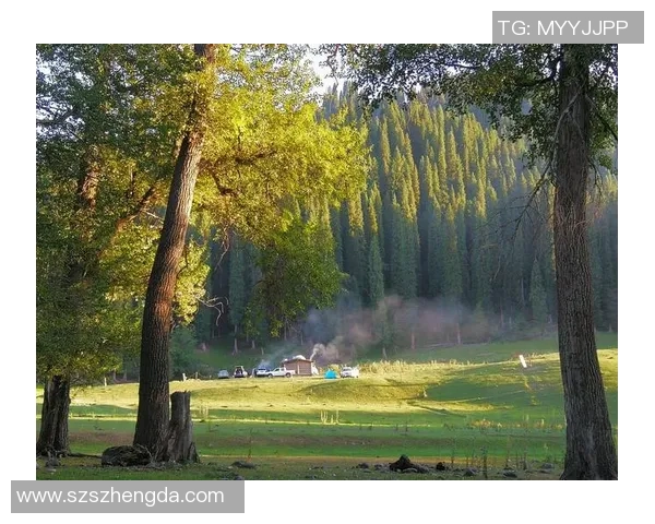 甘冈对阵朗斯精彩直播全程回顾及赛后分析尽在这里