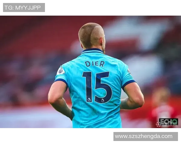 谢菲尔德对阵热刺精彩直播全程回顾与赛后分析