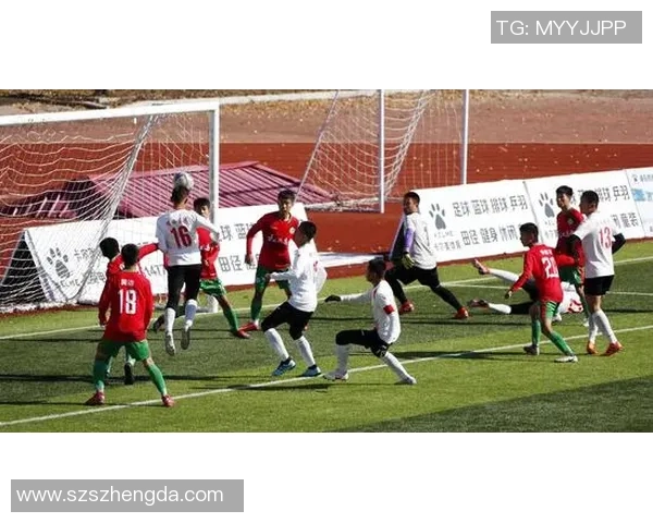 李丽的足球人生：从草地到绿茵场的深度对话与成长故事