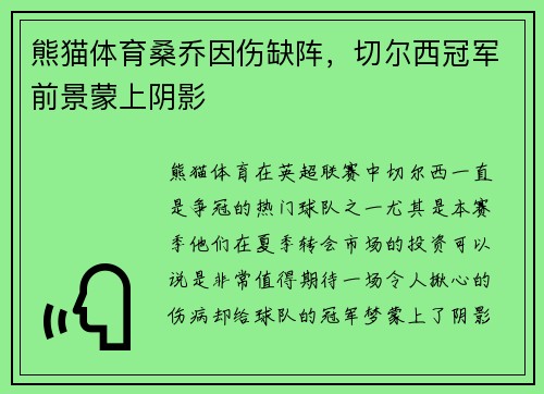 熊猫体育桑乔因伤缺阵，切尔西冠军前景蒙上阴影