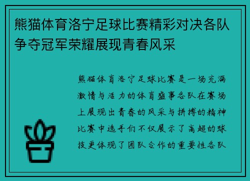 熊猫体育洛宁足球比赛精彩对决各队争夺冠军荣耀展现青春风采