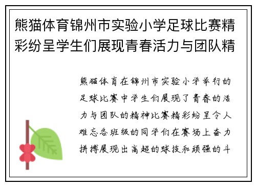 熊猫体育锦州市实验小学足球比赛精彩纷呈学生们展现青春活力与团队精神