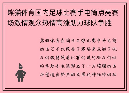 熊猫体育国内足球比赛手电筒点亮赛场激情观众热情高涨助力球队争胜