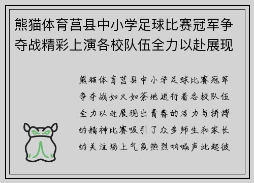 熊猫体育莒县中小学足球比赛冠军争夺战精彩上演各校队伍全力以赴展现风采