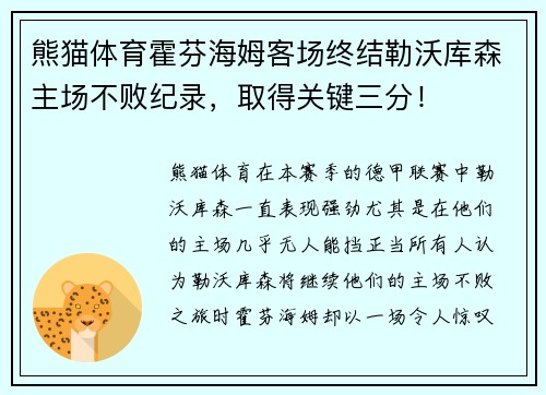 熊猫体育霍芬海姆客场终结勒沃库森主场不败纪录，取得关键三分！