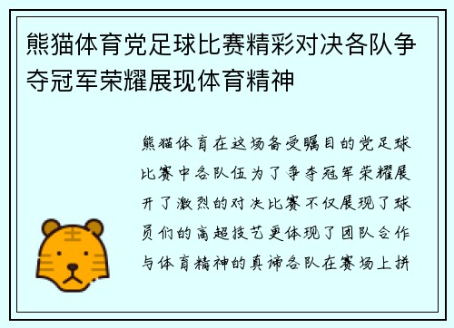 熊猫体育党足球比赛精彩对决各队争夺冠军荣耀展现体育精神