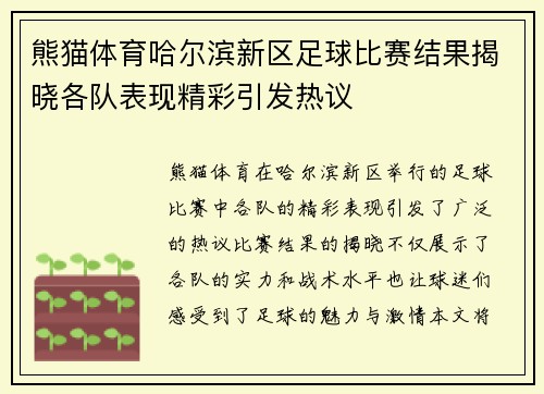 熊猫体育哈尔滨新区足球比赛结果揭晓各队表现精彩引发热议