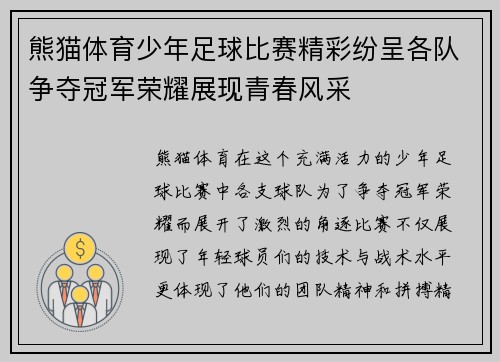 熊猫体育少年足球比赛精彩纷呈各队争夺冠军荣耀展现青春风采
